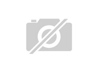 Uraub mit Hund in Nordfriesland